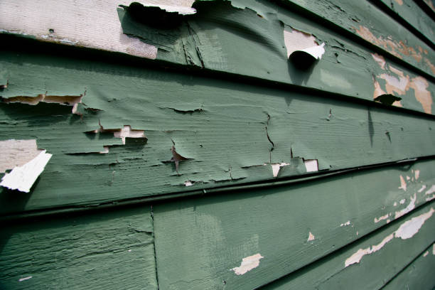 Best Same-Day Junk Removal Services  in Elon, NC